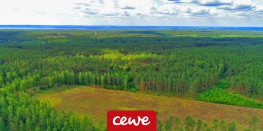 25 000 drzew - Certyfikat - 25 lecie CEWE FOTOJOKER