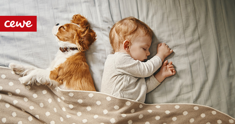 dziecko i pies