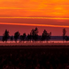Obiektywy Sigma - Jesienna fotografia - Jarosław Deluga Fotojoker