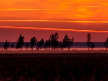 Obiektywy Sigma - Jesienna fotografia - Jarosław Deluga Fotojoker