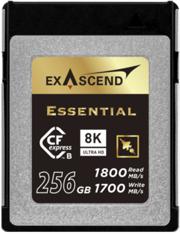 Karta pamięci ExAscend Essential CFexpress B 256GB
