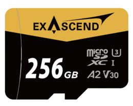Karta pamięci ExAscend Catalyst UHS-I micro 256GB