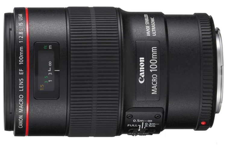 Canon EF 100mm f/2.8 L IS USM MACRO